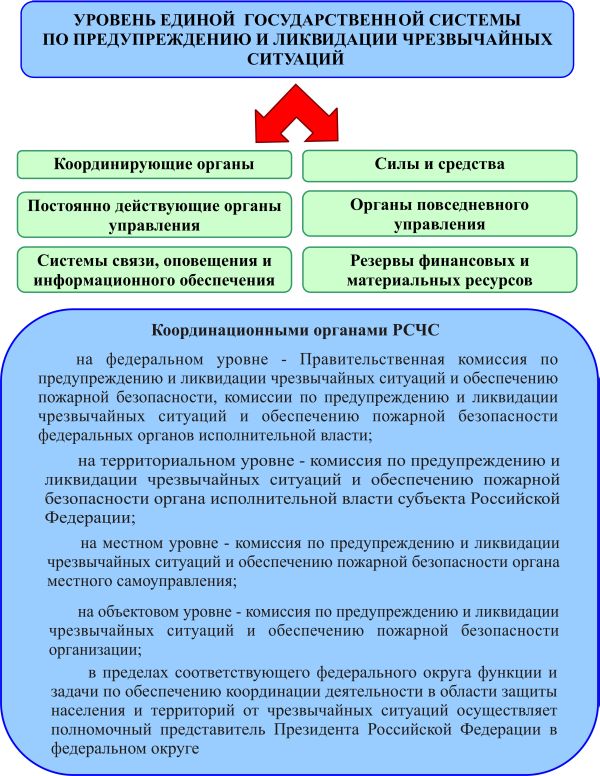 Контрольная работа по теме Организация деятельности органов и подразделений по чрезвычайным ситуациям