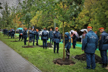В Москве спасатели высадили аллею деревьев в честь 85-летия образования гражданской обороны страны
