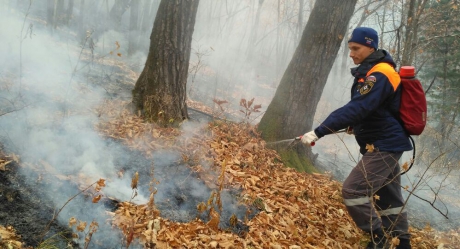 Пять населенных пунктов отстояли от природных пожаров сотрудники Амурского спасательного центра в Приморье