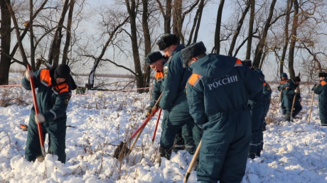 Спасатели обследовали 25 га на месте падения самолёта в Подмосковье