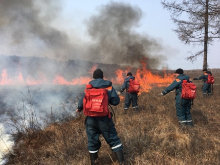 Пожарные защитили от огня поселки в Амурской области и Забайкальском крае