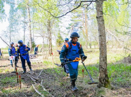 Пиротехники МЧС России обнаружили 84 снаряда времен Великой Отечественной войны на территории Новой Москвы