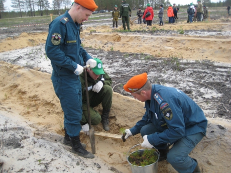Сотрудники МЧС России поддержали Всероссийскую акцию «День посадки леса»