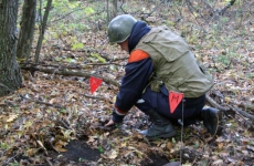 Спасатели МЧС России успешно ликвидировали в Крыму авиационную донную мину