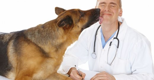 Лучшая ветеринарная клиника в Москве
