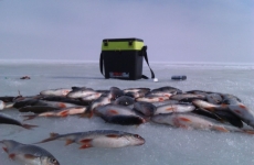 На реке Иртыш 74-летняя женщина спасла рыбака, провалившегося под лед