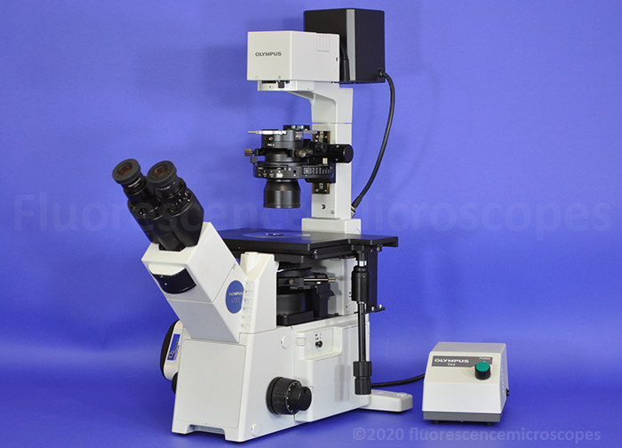 Инновационные микроскопы Olympus – качество, удобство, надежность