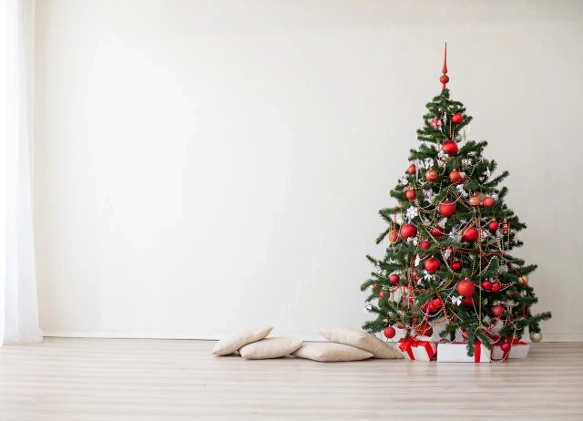 Выбираем живую елку на празднование Нового года