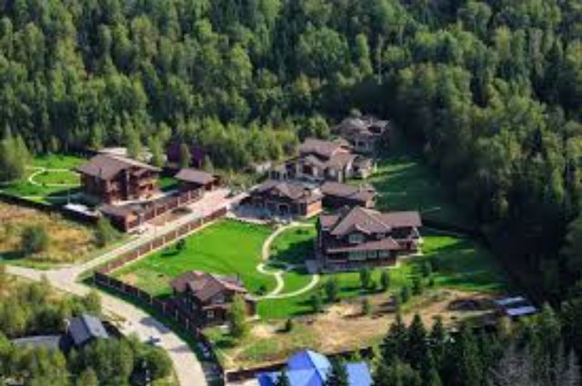 Эко-стиль жизни: как выбрать идеальный дом Эко-стиль жизни: как выбрать идеальный дом